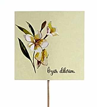 Özür Dilerim