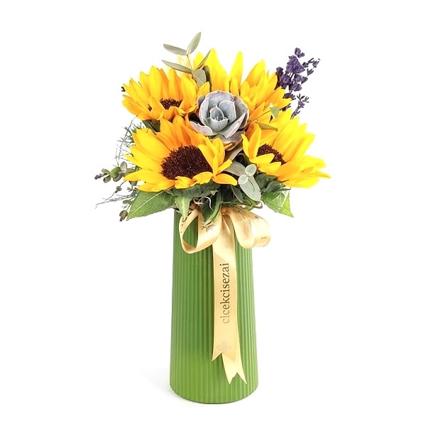 Sunflower Ayçiçeği